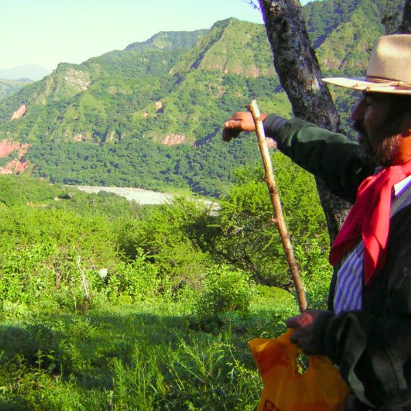 Gaucho Yungas - Salta