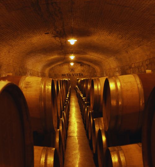 Cave - Mendoza - Région Cuyo Cave à vin -Mendoza-Region-Cuyo