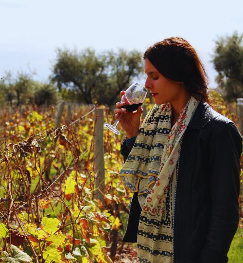 Vins de Mendoza Vins de Mendoza