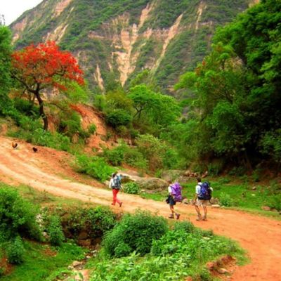 Yungas de Jujuy - Argentine Yungas de Jujuy - Argentine