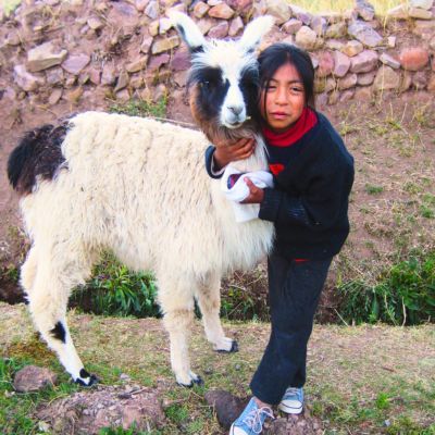 Famille Lama - Hornaditas - Jujuy - Argentine Famille Lama - Hornaditas - Jujuy - Argentine