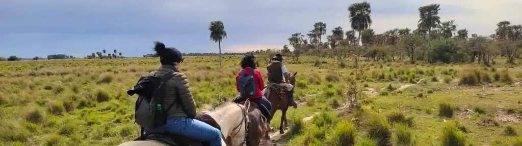Balade à cheval - Lagune d'Ibera