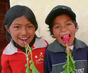 Enfants du jardin potager scolaire d'Alfarcito, projet de tourisme solidaire